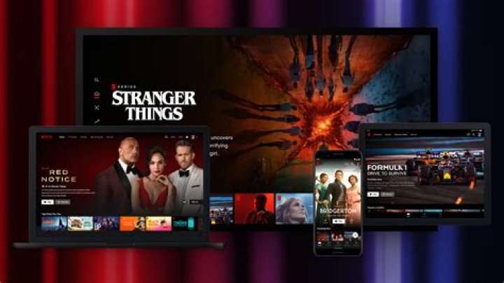 fmovies vs Netflix: Feature and Content Comparison